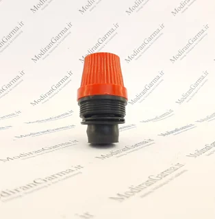کلگی شیر اطمینان رایارادیس